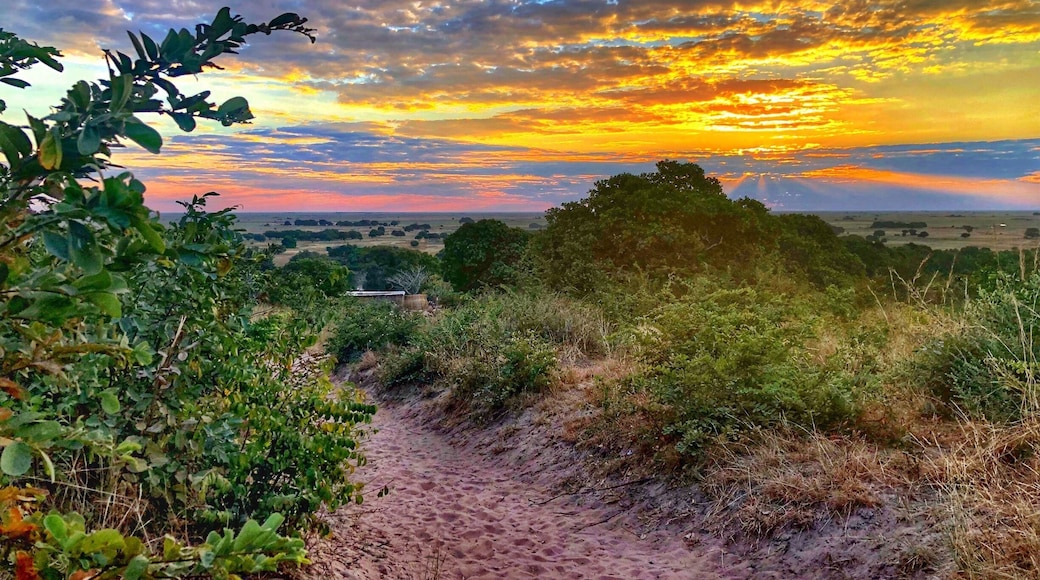 Sunset over the Barotse Flood Plain.