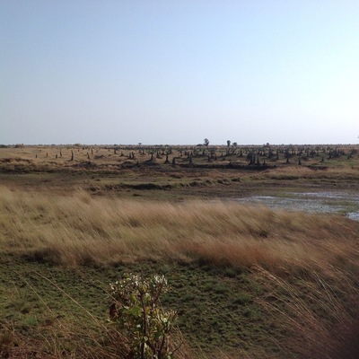 Part of the swampy patch of tuta road