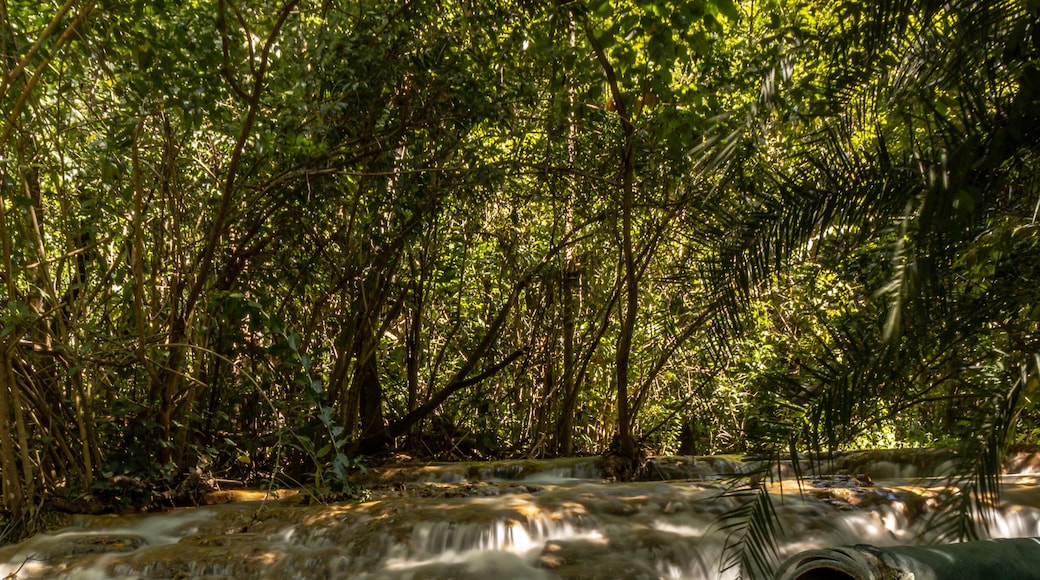 river in the city of Montes Claros, State of Minas Gerais, Brazil