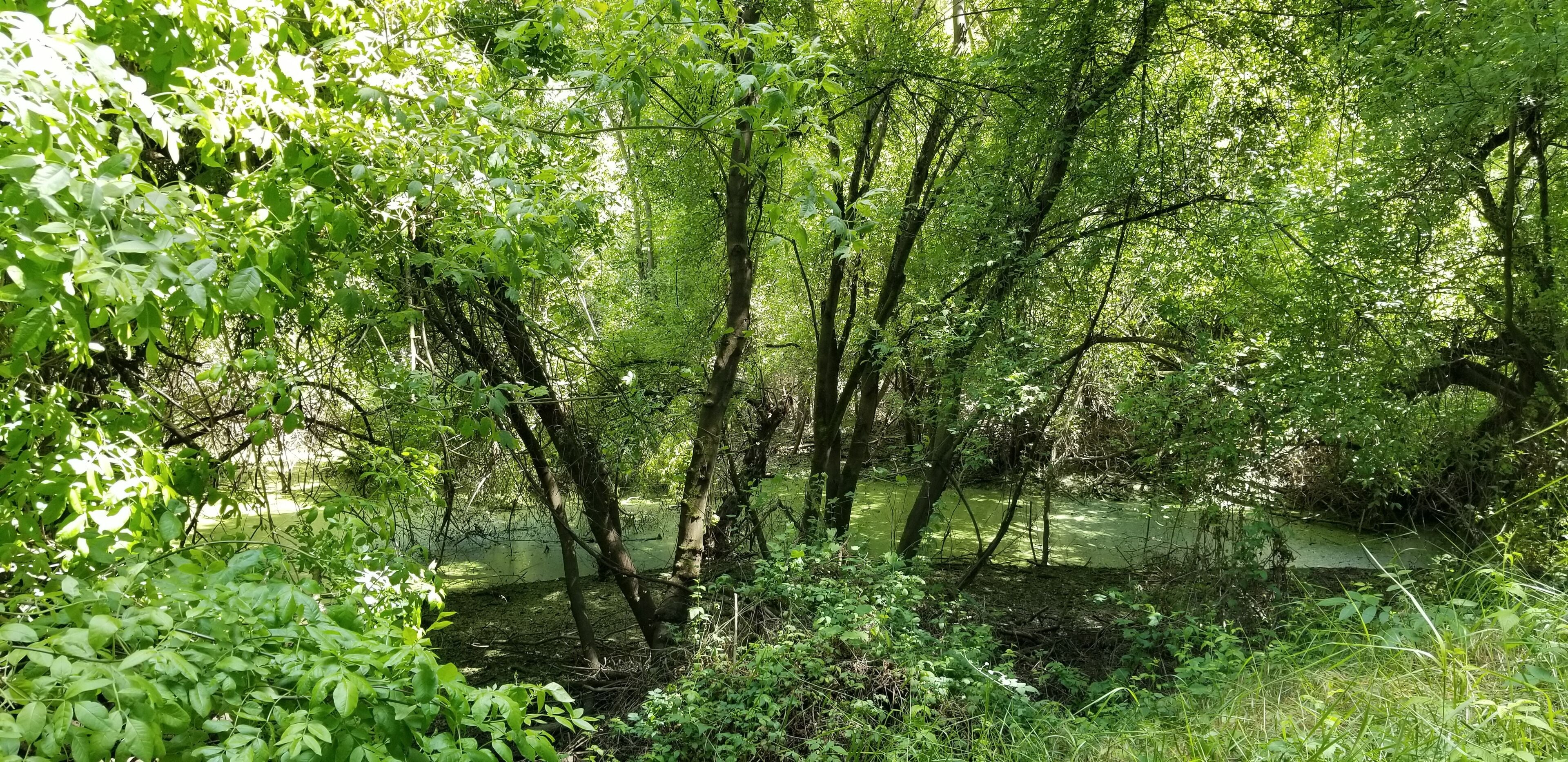 Beautiful and easy hikes for all ages. Hidden gem in the valley.