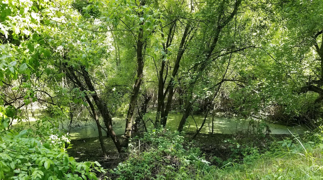 Beautiful and easy hikes for all ages. Hidden gem in the valley.