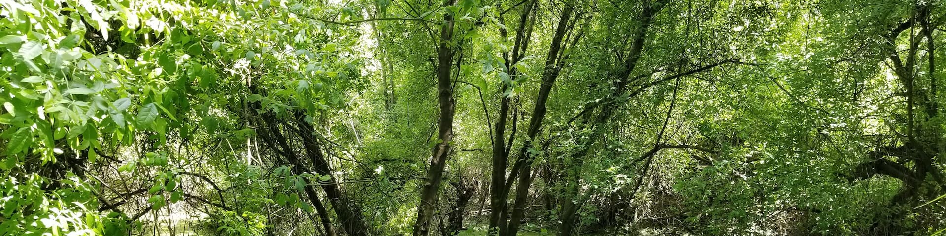 Beautiful and easy hikes for all ages. Hidden gem in the valley.