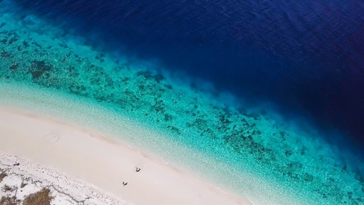 A drone shot of a couple sitting on a pink sand beach on a small island near Maumere, Indonesia. Happy and careless moments. Waves gently washing the shore. Romance and love while travelling
