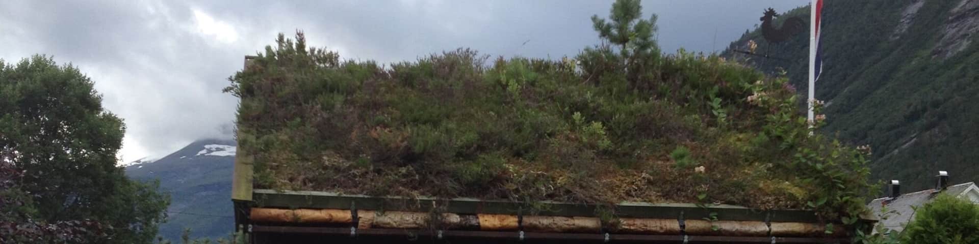 Nauste is a small village in Norway situated at the shore of Eresfjord. There’s not much to do there other than fishing, enjoying the nature and take long walks or hike the mountains #LifeAtExpedia