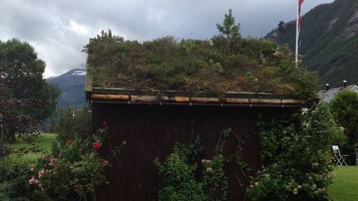 Nauste is a small village in Norway situated at the shore of Eresfjord. There’s not much to do there other than fishing, enjoying the nature and take long walks or hike the mountains #LifeAtExpedia