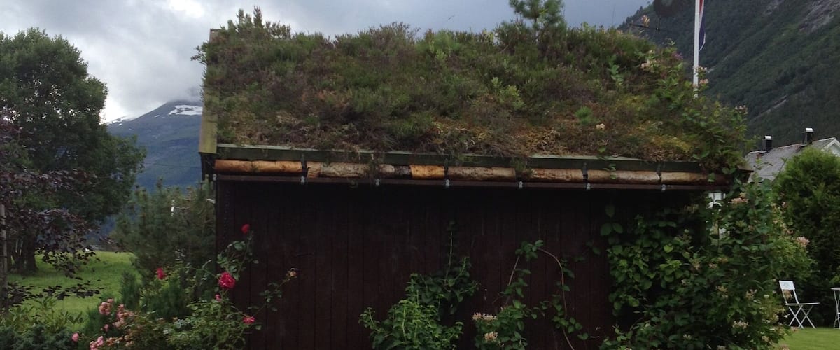 A wooden shed with a green roof, surrounded by lush greenery and a flagpole with a flag.