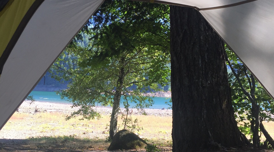 Nice campground. Not private, but friendly! Low lake levels.