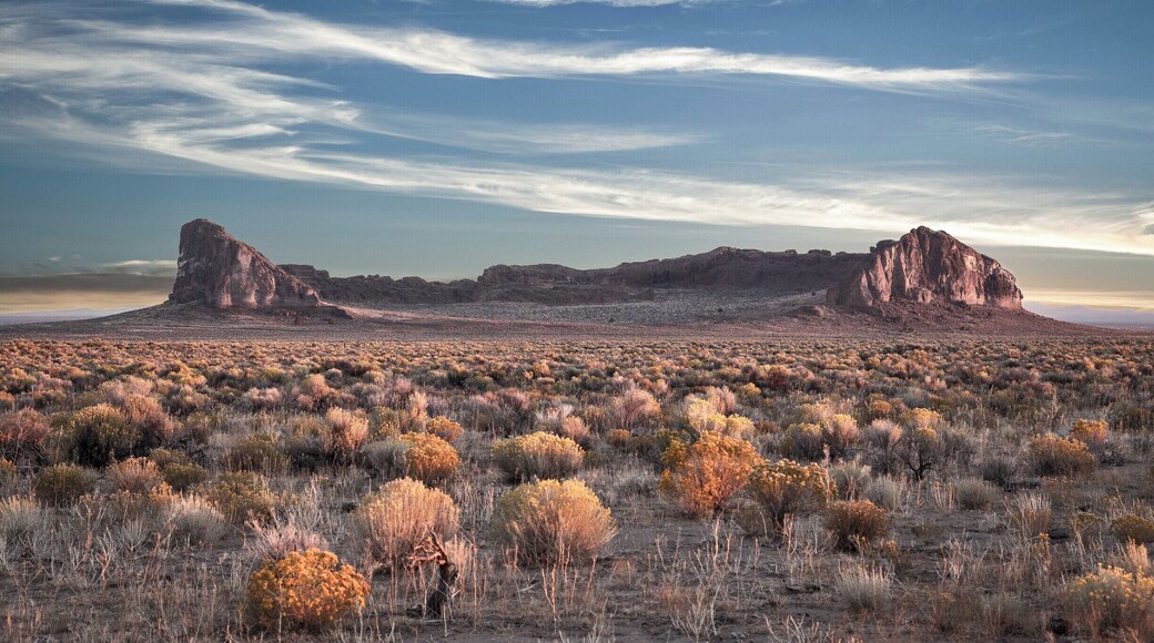 Southeastern Oregon is one of the least populated places in the nation. From Bend travel South through La Pine and left on State road 31. Do not miss the museum in town. Totally worth the drive.