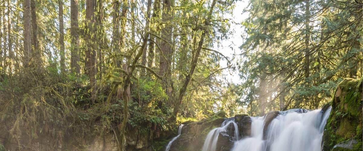 Fun short hike east of Corvallis, Oregon