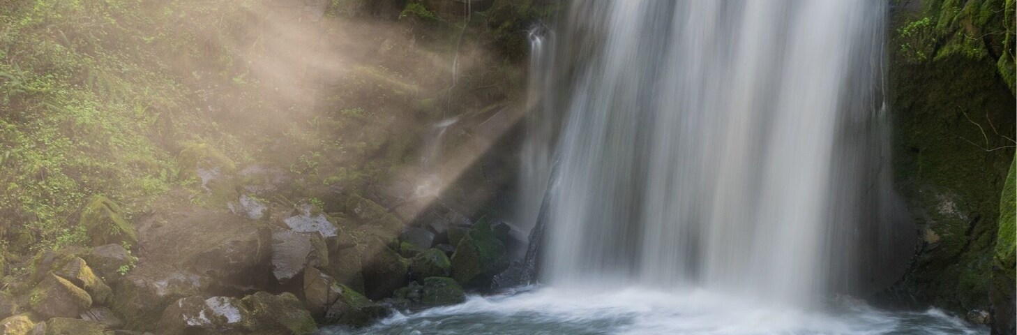 Fun short hike east of Corvallis, Oregon