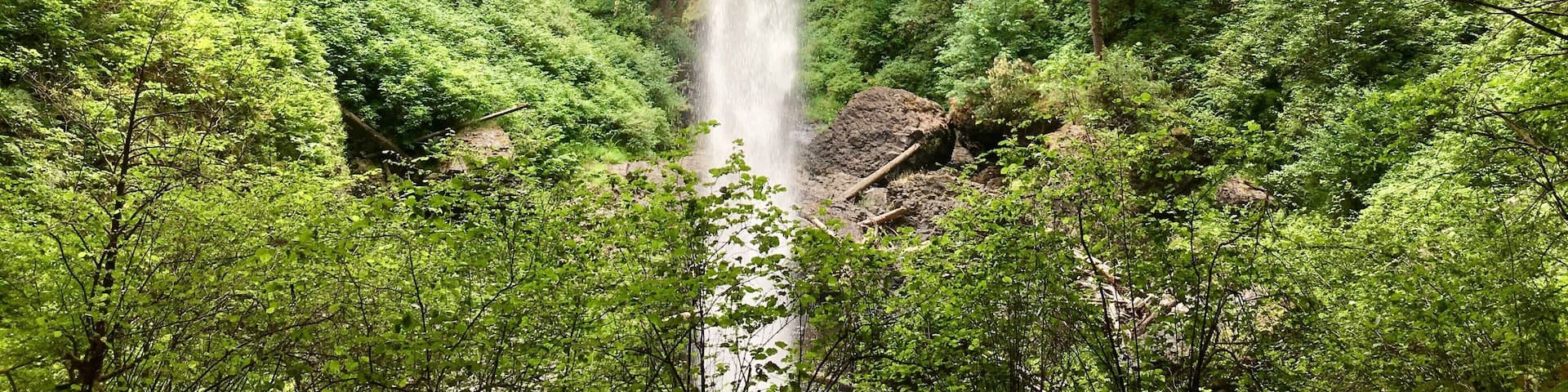 Behind one of the many waterfalls in the beautiful Sliver Falls State Park. #trovember