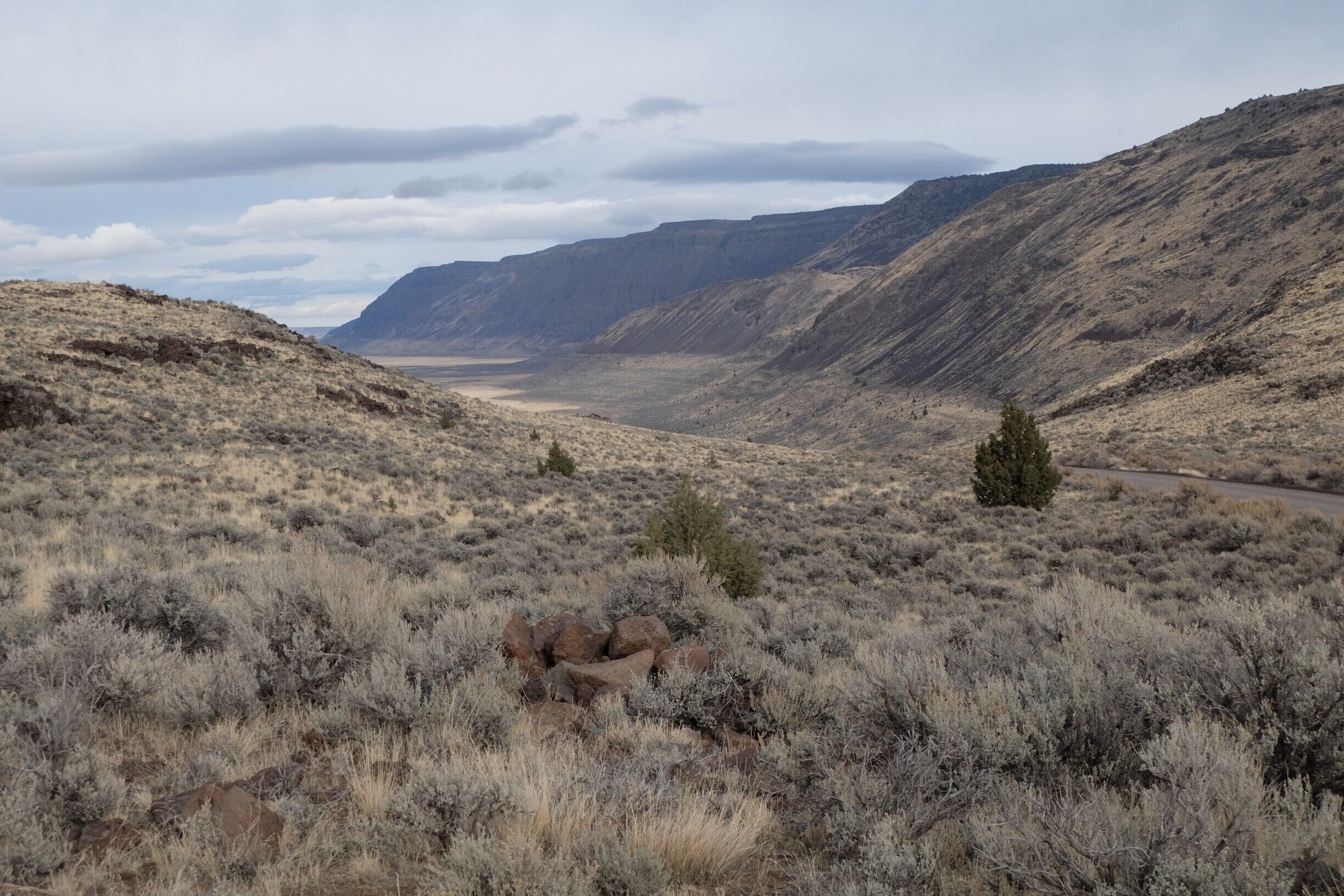 During the Pleistocene epoch which ended some 10,000 years ago, the Warner Valley was a lake 360 feet deep, covering 500 square miles.  The last high elevation of the lake was approximately 17,000 years ago.  Beach terraces from that lake are visible across the valley on Rabbit Hills and Coyote Hills.  Here on Poker Jim Rim, the distinct line some 200 feet above the present valley floor is a clear indicator of the surface level of that lake.  Such geologic evidence reminds us that the desert was once a very wet place, and in some distant future could be again.