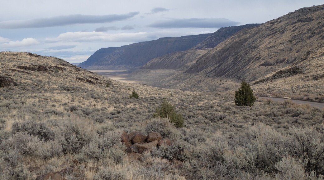 During the Pleistocene epoch which ended some 10,000 years ago, the Warner Valley was a lake 360 feet deep, covering 500 square miles. The last high elevation of the lake was approximately 17,000 years ago. Beach terraces from that lake are visible across the valley on Rabbit Hills and Coyote Hills. Here on Poker Jim Rim, the distinct line some 200 feet above the present valley floor is a clear indicator of the surface level of that lake. Such geologic evidence reminds us that the desert was once a very wet place, and in some distant future could be again.