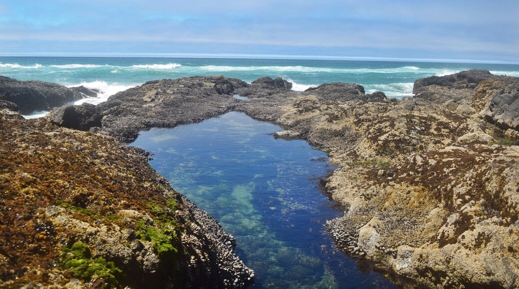 #AquaTrove cape perpetua, crazy blue and beautiful ride pools and ocean views.