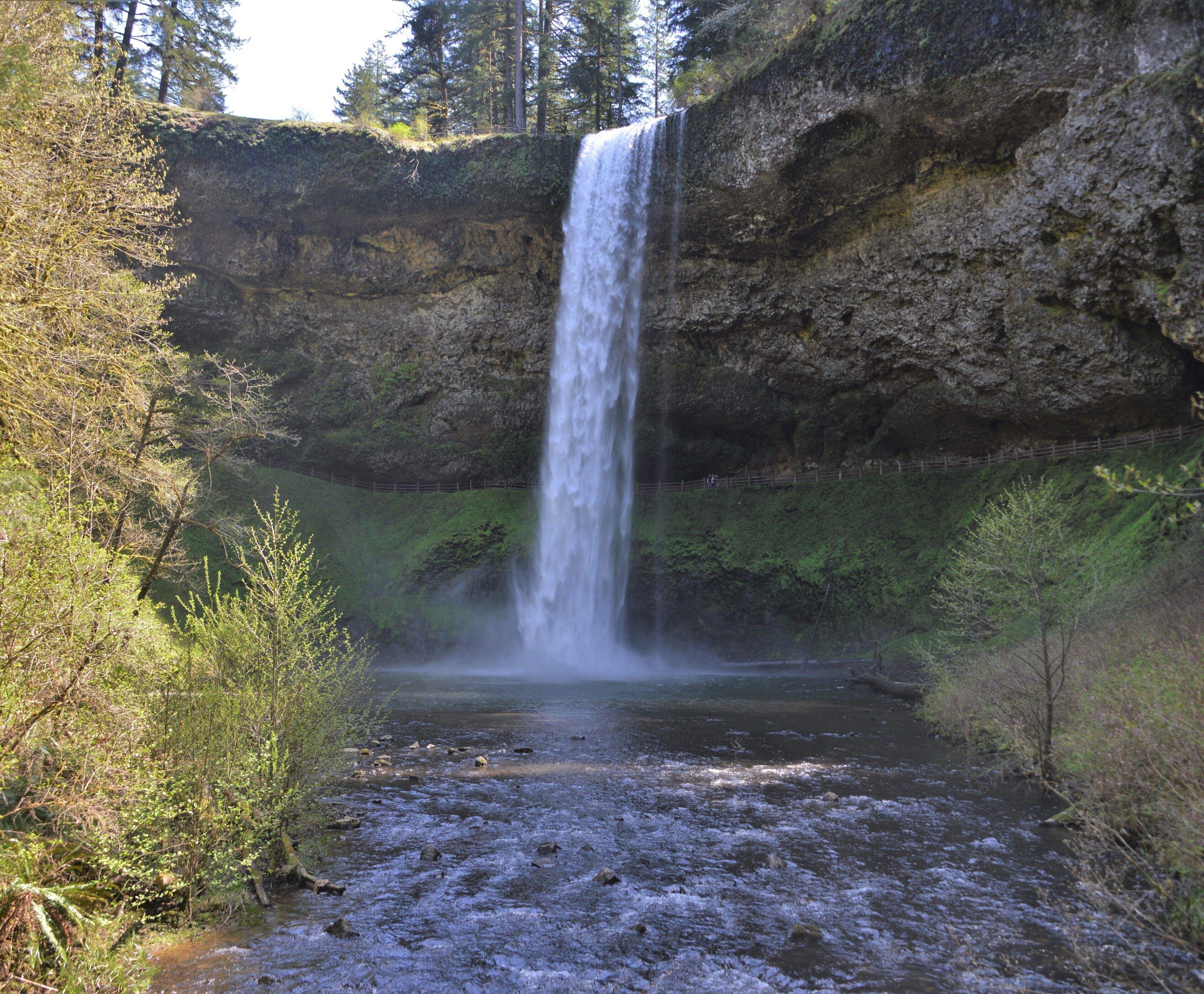 Great 7.2 mile Loop hike through the park.  It’s called the Trail of Ten Falls.  You can see them all on this loop.
#waterfall #hiking #statepark #creek


