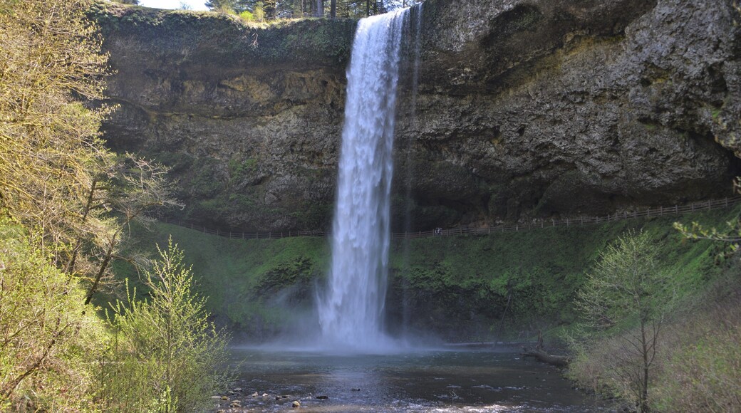 Great 7.2 mile Loop hike through the park. It’s called the Trail of Ten Falls. You can see them all on this loop.
#waterfall #hiking #statepark #creek