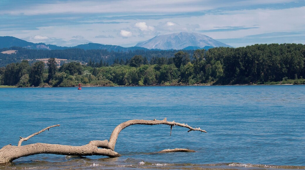 Mt. Saint Helens from the south shore of the Columbia River just a few yards from the trail to Warrior Point.