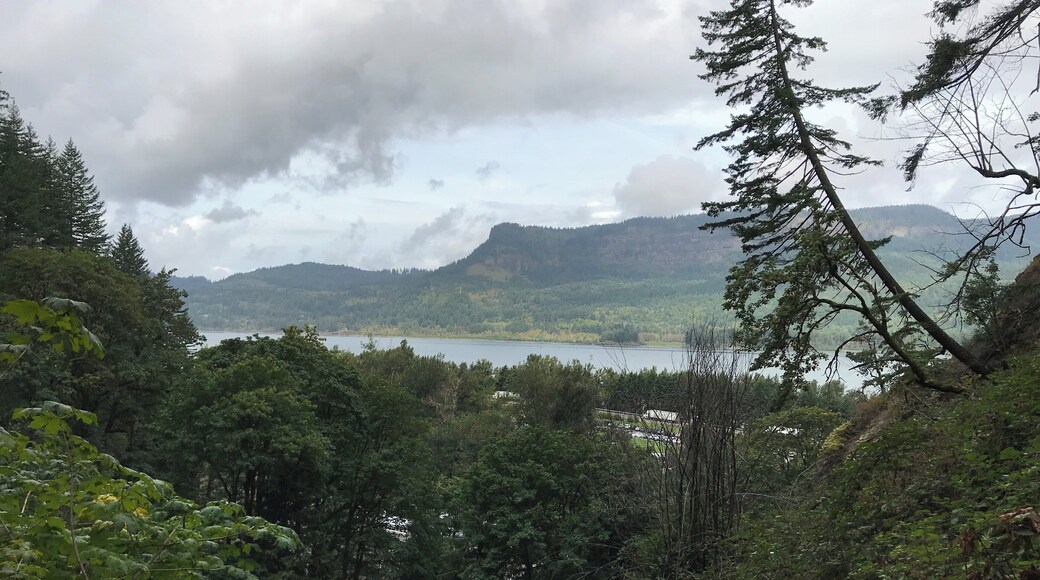 View of Columbia River Gorge from the Multnomah Falls Switchback Trail.