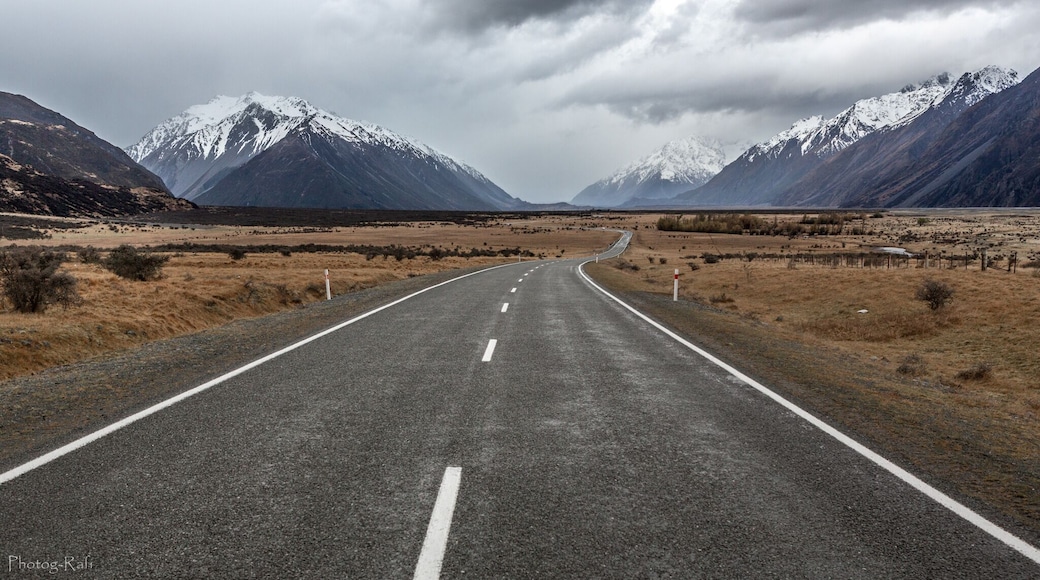 I love to take pictures of roads curving toward the horizon.
