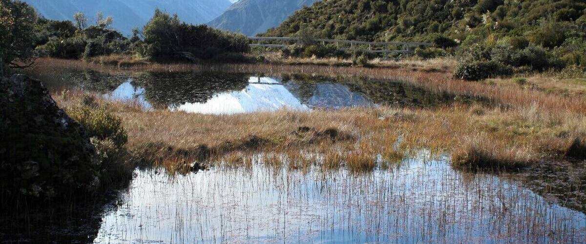 The red tarns track is one steep climb up the hill through dozens and dozens of steps. The view is well worth the effort though!