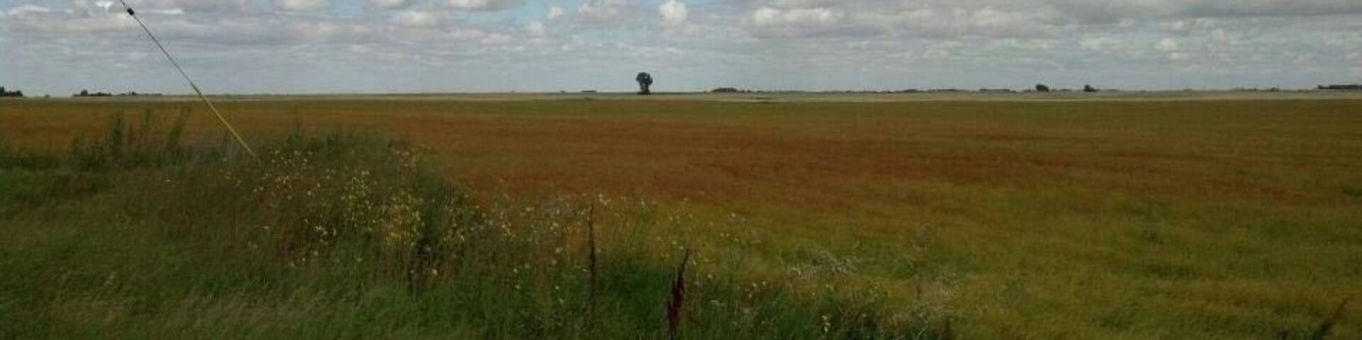 It amazed me that it looks like you can touch the sky in North Dakota.