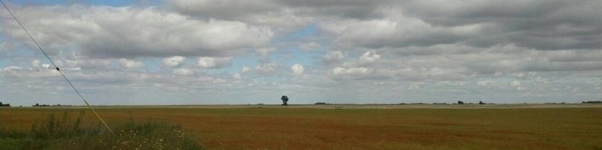 Un extenso campo abierto con un árbol solitario a lo lejos bajo un cielo nublado.