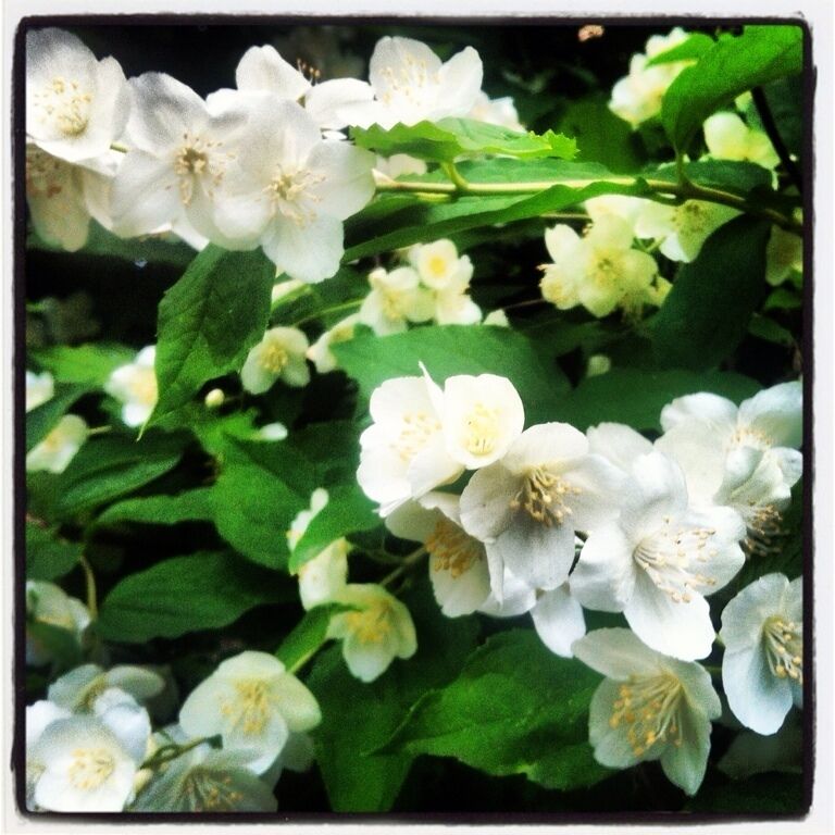 Estación Prospekt Mira