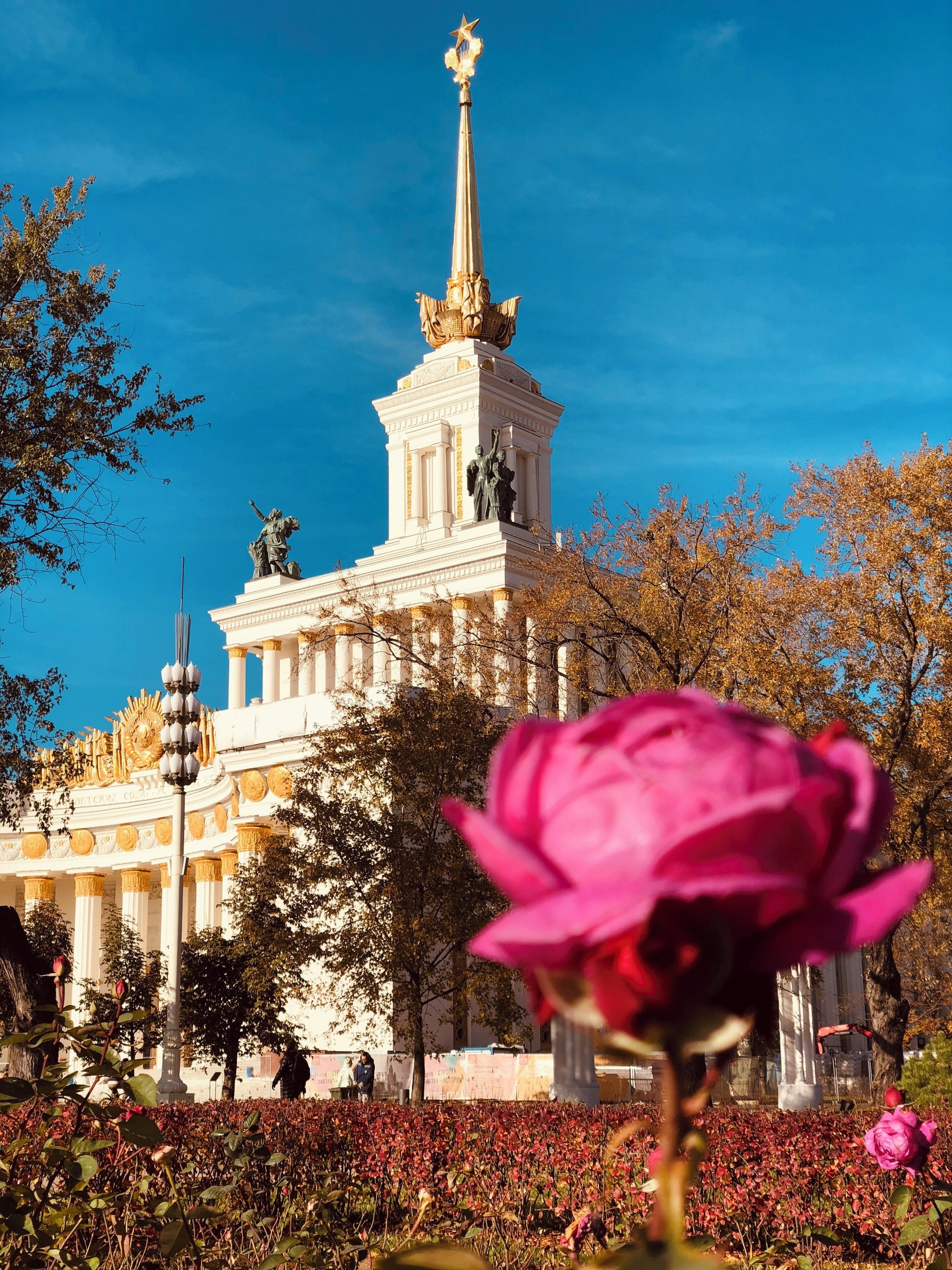 The best place for recreation 😍 
Vdnkh Park Moscow