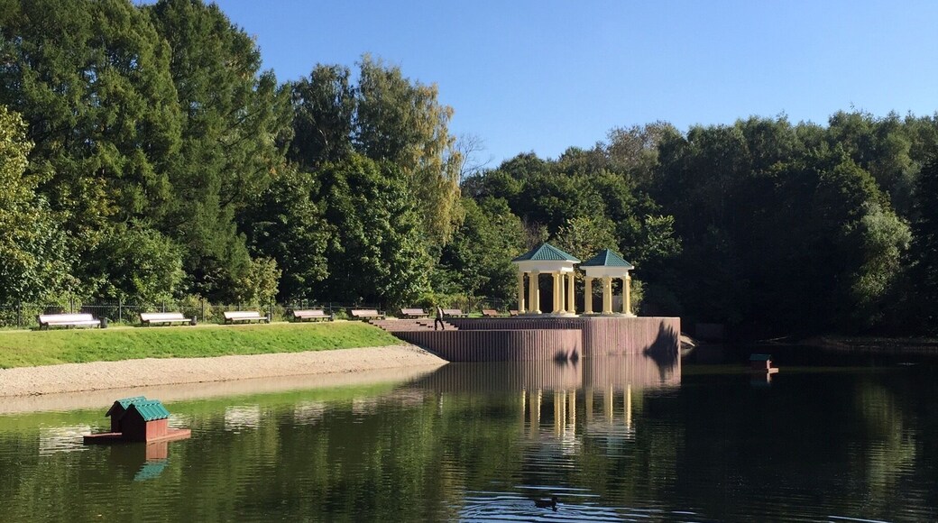 Пруд «Шоколадка».