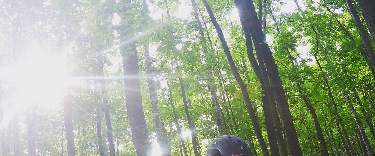 A person sitting on a bench in a forest with a bicycle and a trash bin nearby.