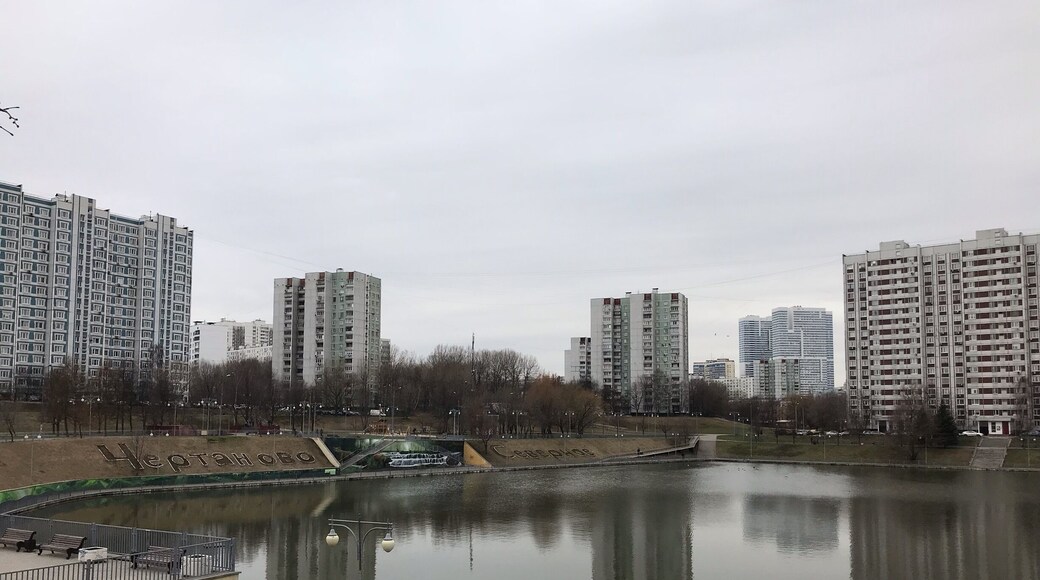 Пруд в Чертаново