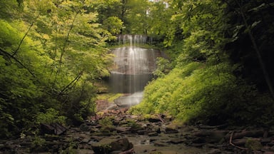 Mr Rogers grandparents owned this property