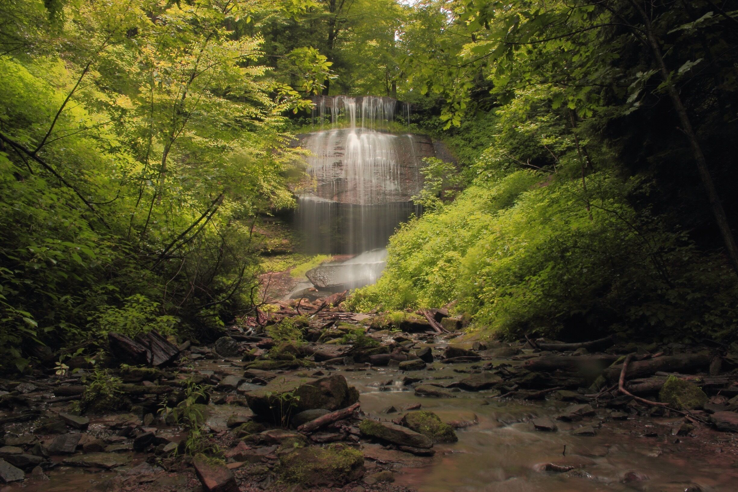A waterfall surrounded by dense green foliage.