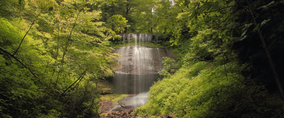 A waterfall surrounded by dense green foliage.
