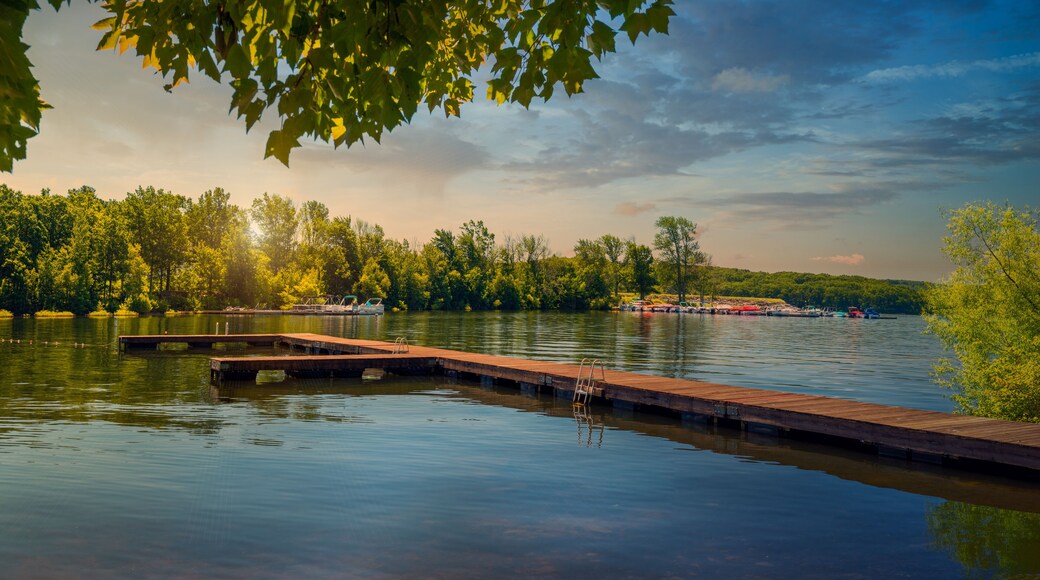 Un lago tranquilo con un muelle de madera que se adentra en el agua, rodeado de frondosos árboles verdes y barcos anclados a lo lejos.
