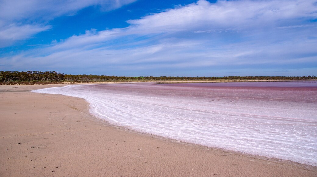 On the beach of a pink salt lake near Mildura in Victoria, Australia
