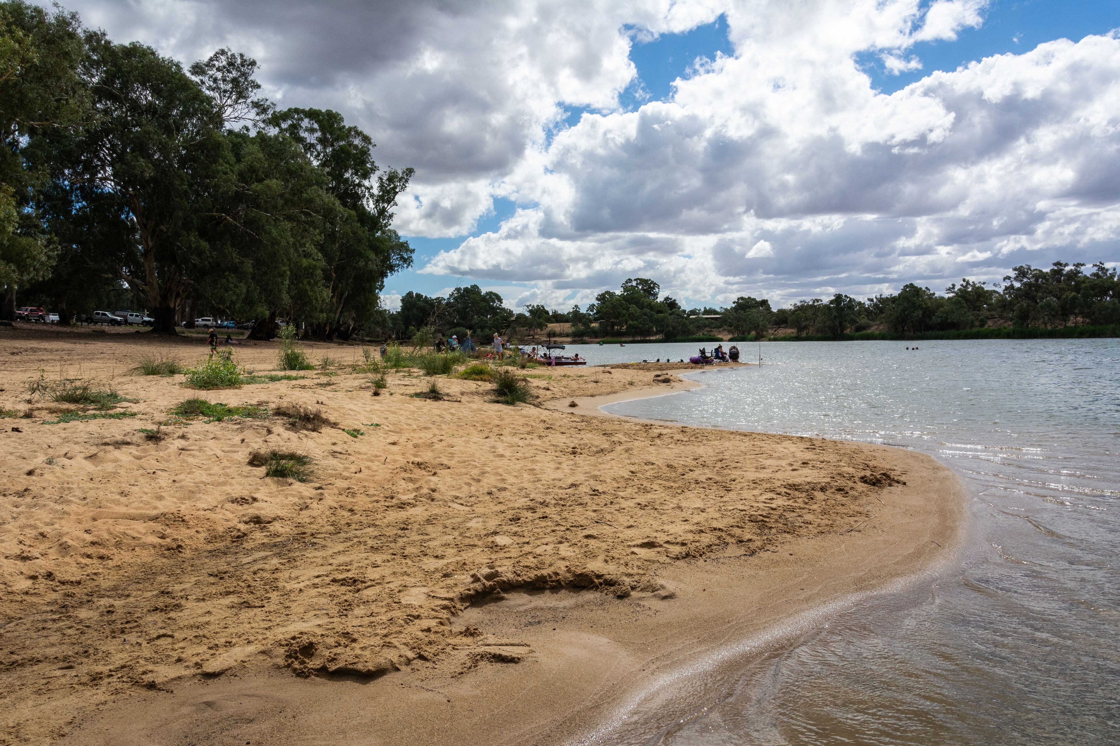 Murray River bank in Mildura, VIC, Australia