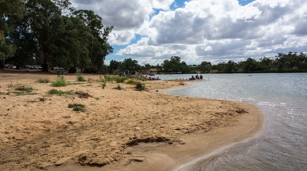 Murray River bank in Mildura, VIC, Australia