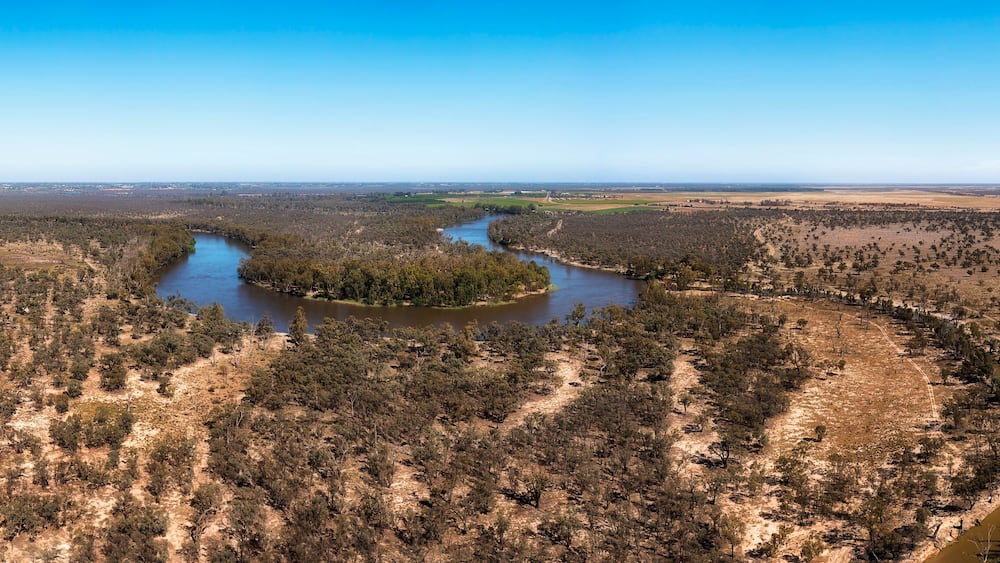 D Murray high loop plains pan