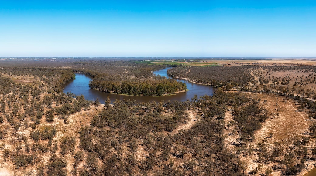 D Murray high loop plains pan