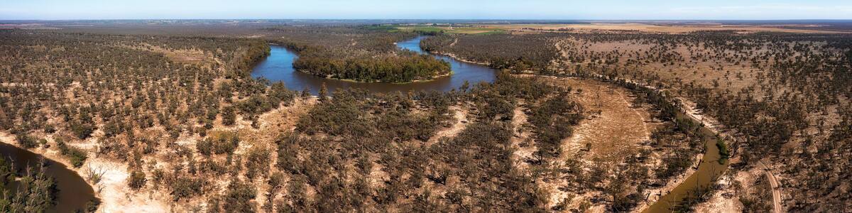 D Murray high loop plains pan