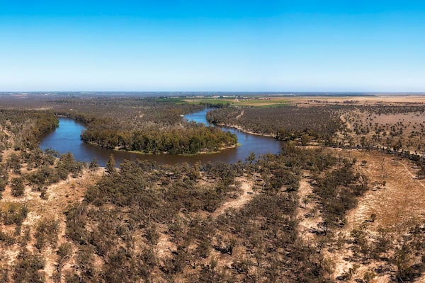 D Murray high loop plains pan