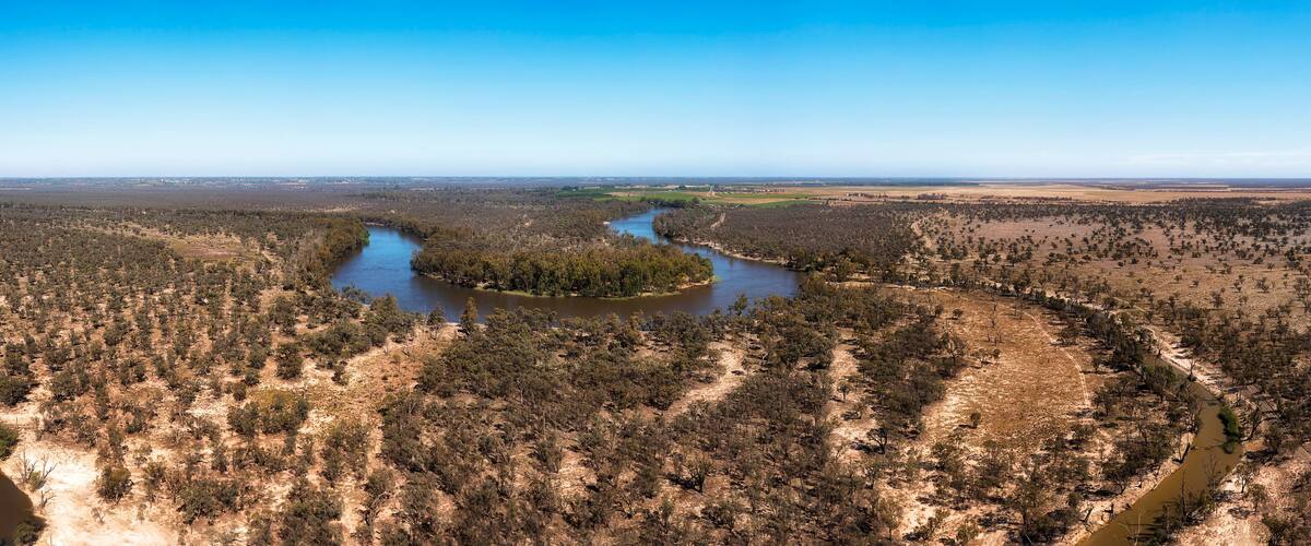 A river winding through a forested landscape.