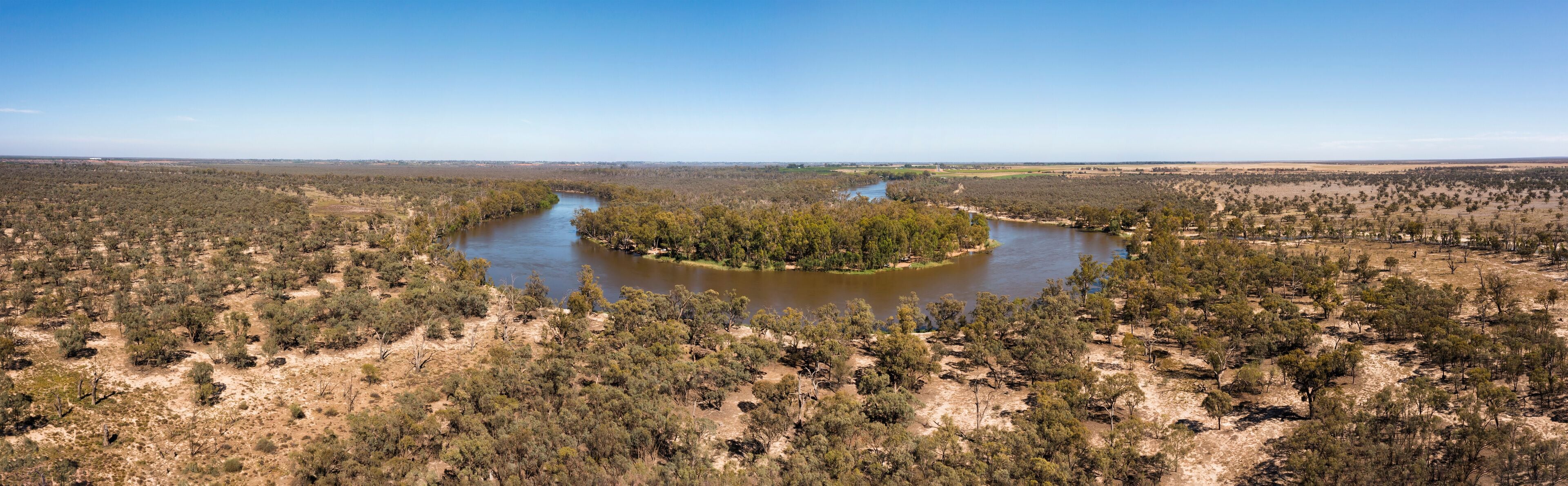 D Murray loop woods pan