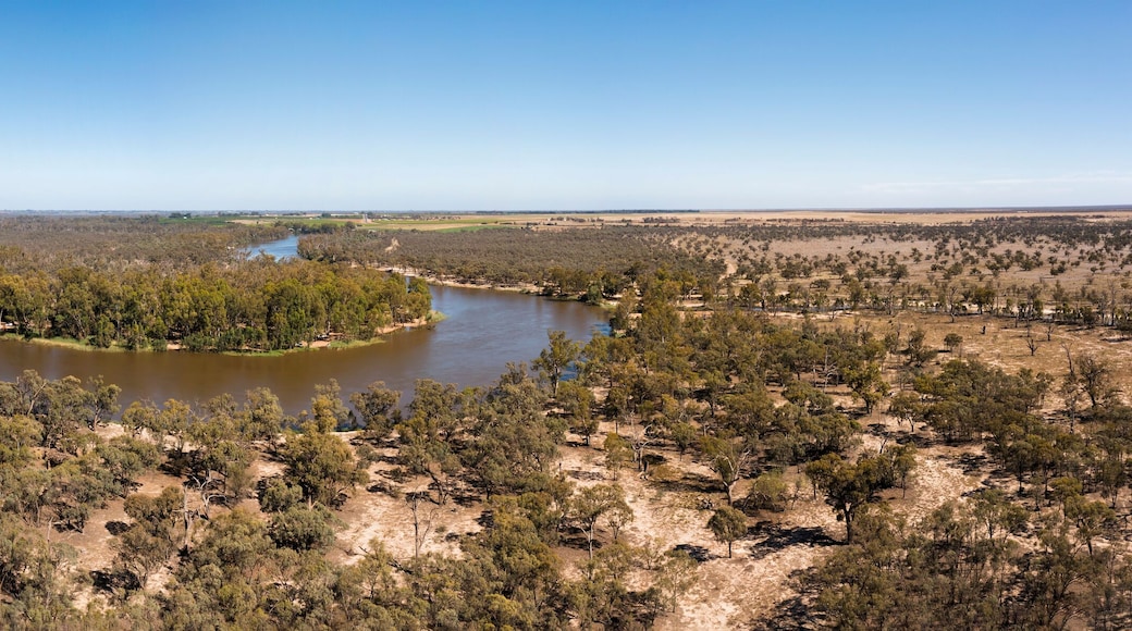 D Murray loop woods pan