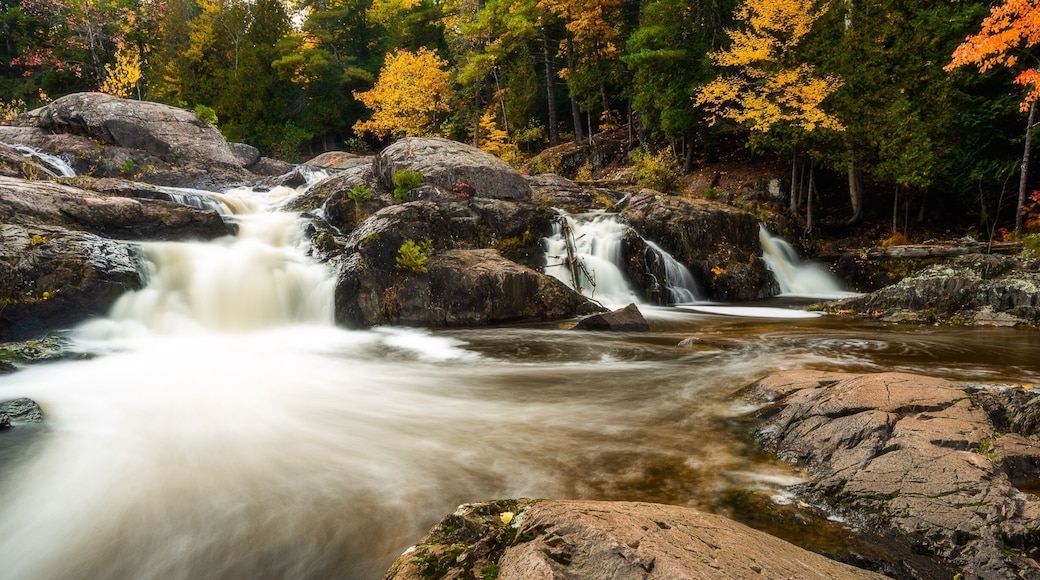 This place is amazing with five different waterfalls to see.
#greatoutdoors #michigan
#waterfalls
#autumn
#fallcolors