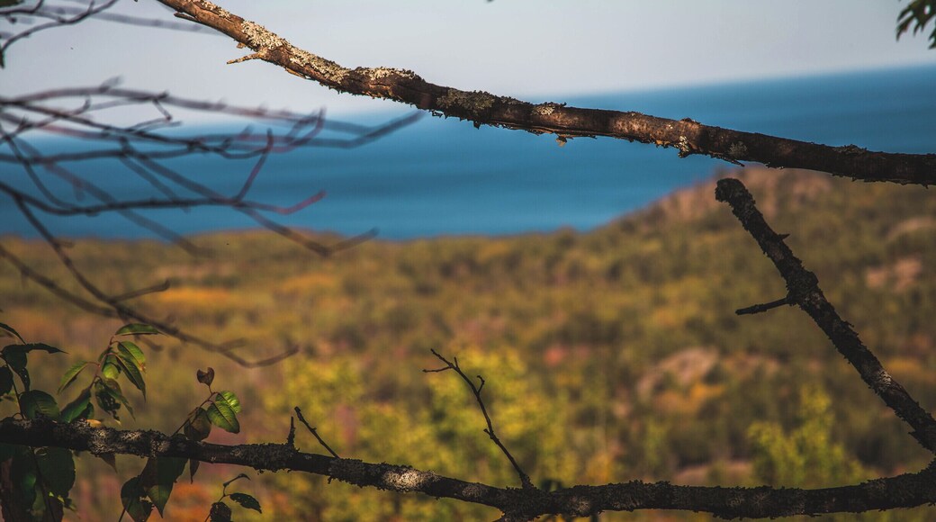 Great hike up hogback! Beautiful fall colors!
#BVStrove
