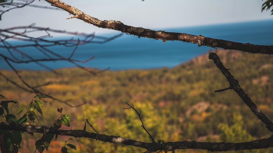 Great hike up hogback! Beautiful fall colors!
#BVStrove