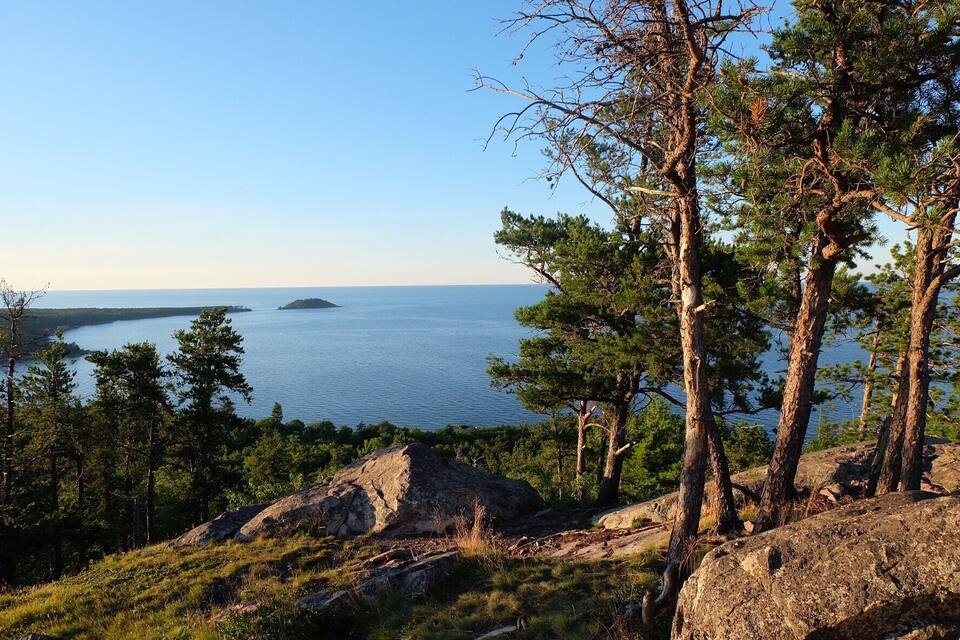Un paisaje costero con terreno rocoso, pinos y un mar tranquilo con islas a lo lejos.
