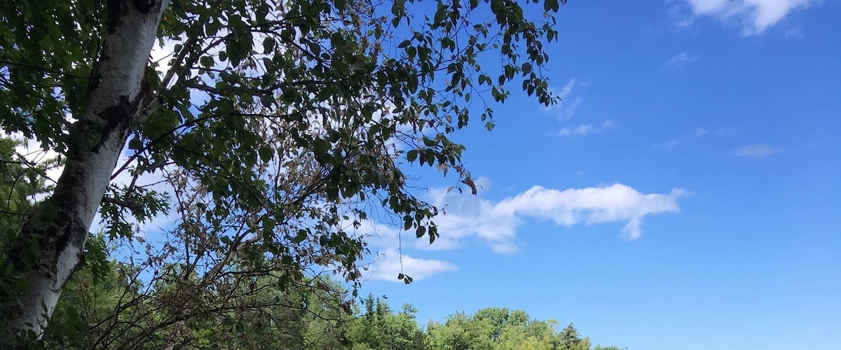 You can pick any spot on Presque isle and it's beautiful! #upperpeninsula #marquette #michigan